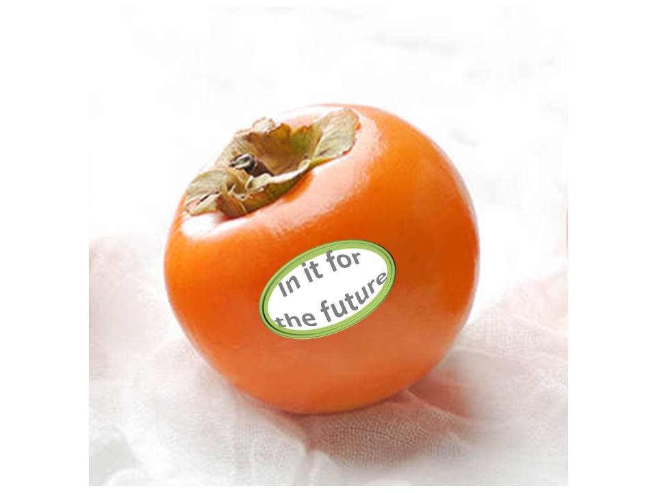 2017 Australian Persimmon Industry Conference & Field Day – Register Now!