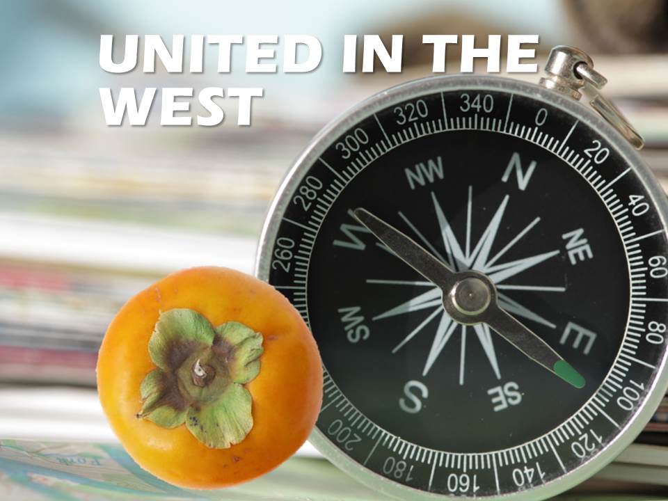 2019 Persimmon Industry Conference – Save the Date